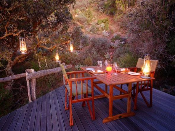 HillsNek Safaris - Dining 